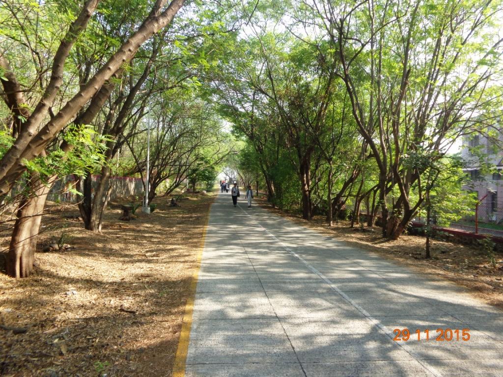 वैकुंठभाई मेहता नेशनल इन्स्टीटयुट को-ऑपरेटिव्ह मेनेजमेंट ‘ मधून रस्त्यासाठी २ हजाराहून अधिक झाडे कापण्यास नागरिकांचा ,पर्यावरण प्रेमींचा तीव्र  विरोध  —–५ डिसेंबर रोजी विद्यापीठ चौकात निदर्शनाचा निर्णय