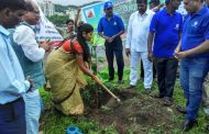 निरंकारी फाऊंडेशनचे काम प्रेरणा दायी - नगरसेविका चिमटे  ( 120 वृक्षांची केली लागवड )