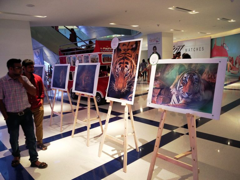 इंटरनॅशनल टायगर्स डेच्या निमित्ताने वेस्टएंड टायगर ट्रेल फोटोग्राफी स्पर्धा व प्रदर्शनाचे आयोजन