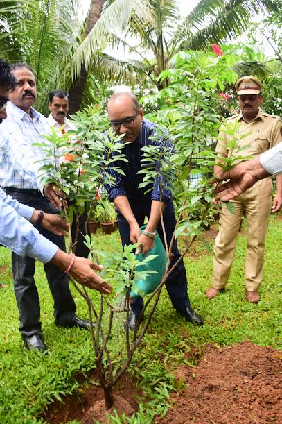 महावितरण राज्यभरातील कार्यालयात  70 हजार वृक्षाची लागवड करणार