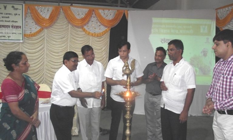 पीक व्यवस्थापन शास्त्राद्वारे  दर्जेदार डाळींब उत्पादन शक्य  – प्रकल्प संचालक सुनील बोरकर