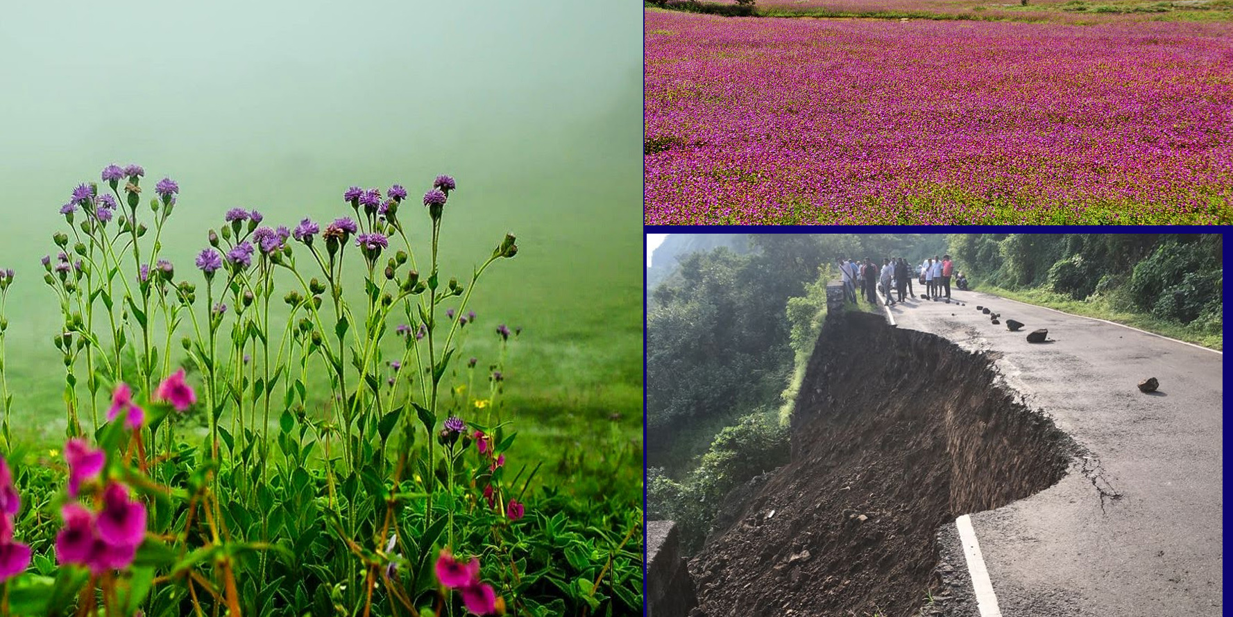 कास पठार बंद -पीडब्ल्यूडी च्या  भोंगळ कारभाराचा फटका