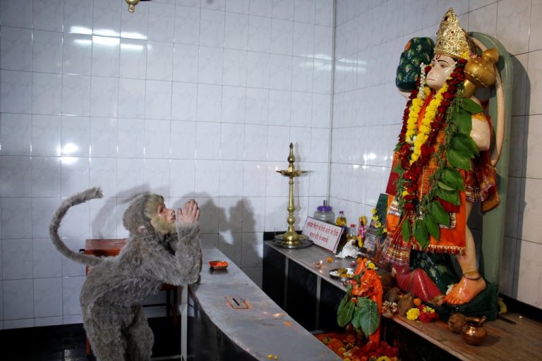 हनुमान जयंती च्या मुहूर्तावर  “मंकीबात” या बाल चित्रपटाच्या प्रमोशन ला सुरुवात