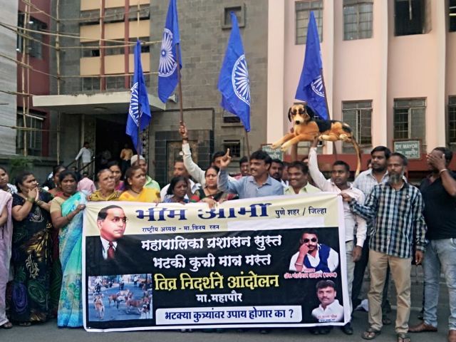 भटक्या कुत्र्यांपासून संरक्षण मिळालेच पाहिजे – भीम आर्मी