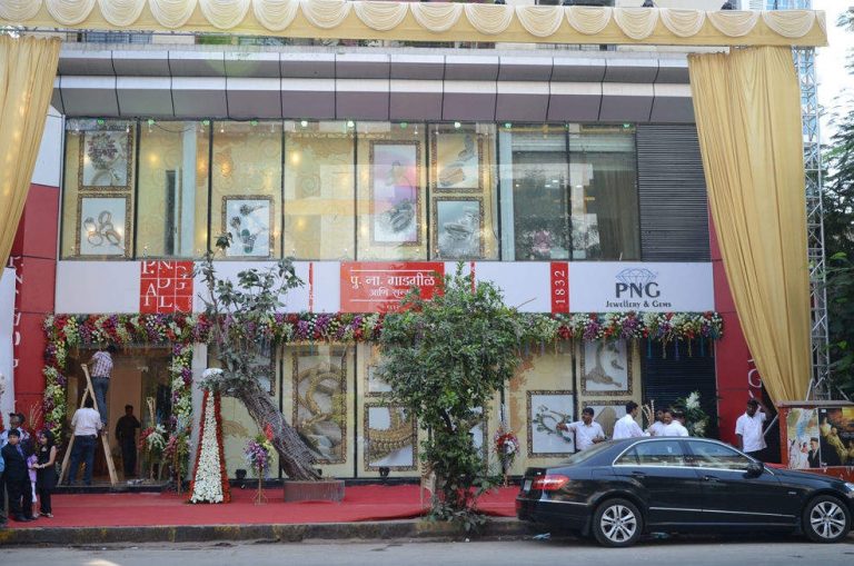 256 कोटी रुपयांची गुंतवणूक करून पीएनजीची आणखी १५ दालने ..