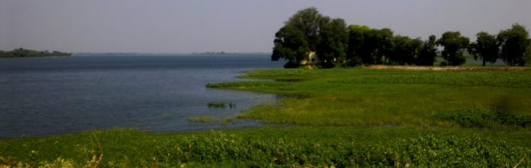 हतनूर वेटलँड ‘ चे पक्षी वैविध्य जपण्याची गरज : अनील महाजन