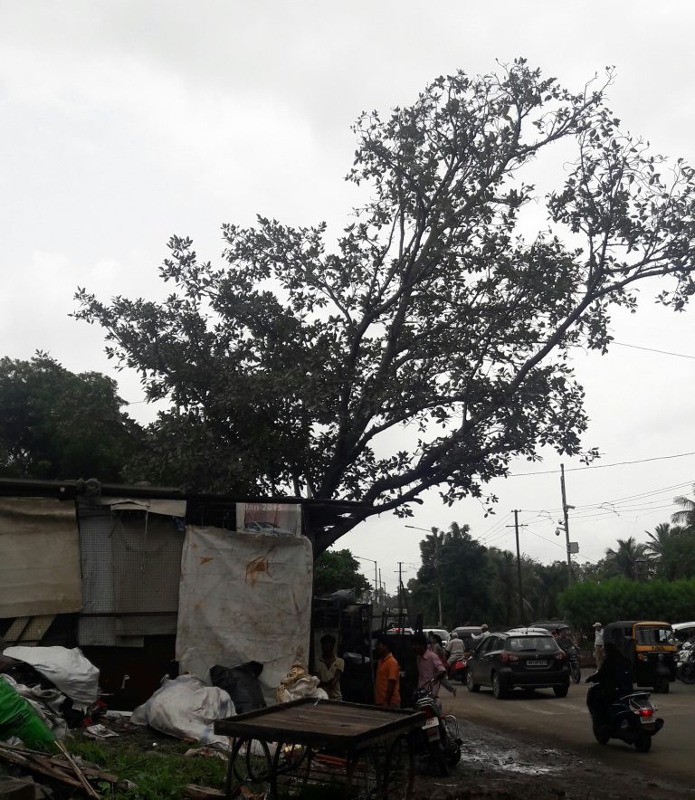 शिवणे ते म्हात्रे पूल रस्ता अडकला लालफितेशाहीत