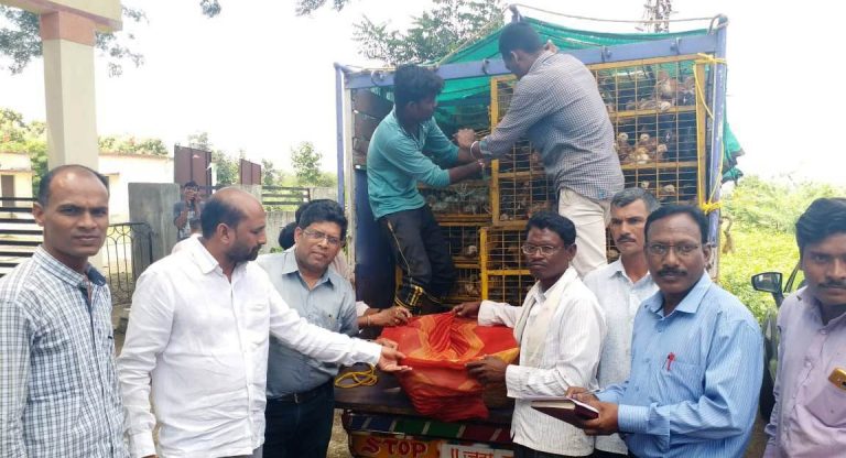 स्वयम् प्रकल्पांतर्गत अंडी उत्पादन