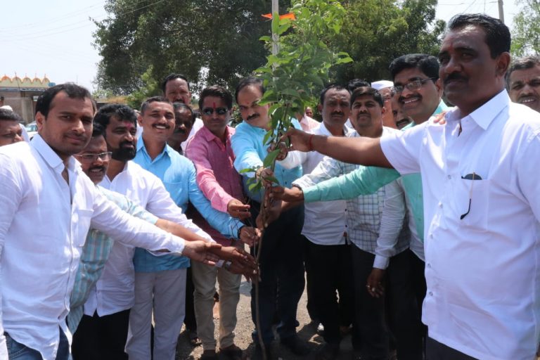 मराठवाडा चॅरिटेबल ट्रस्टतर्फे दोनशे झाडांचे संरक्षक जाळीसह वृक्षारोपण