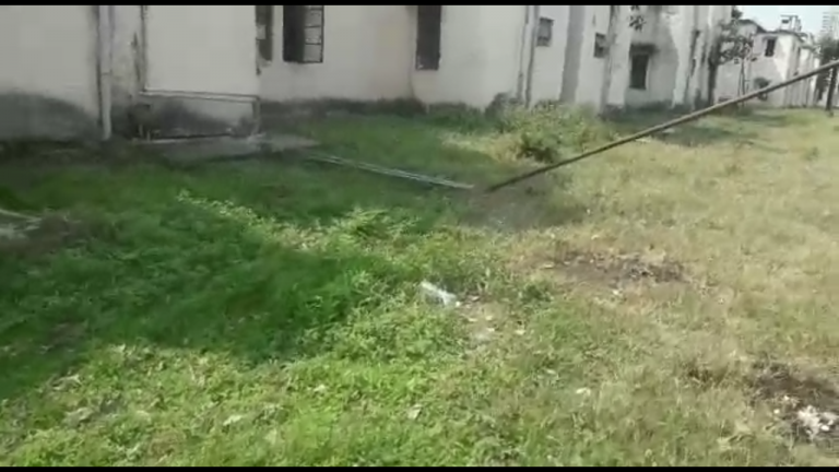 खडकी कॅन्टोन्मेंटमध्ये वाढले गवत; नागरीकांच्या जिविताला सापांचा धोका