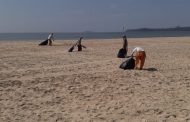 पर्यटन विभागाने घेतली स्वच्छतेची जबाबदारी – जीटीडीसीच्या प्रोजेक्ट सेलच्या सहकार्याने समुद्रकिनाऱ्यांवर कामगार तैनात