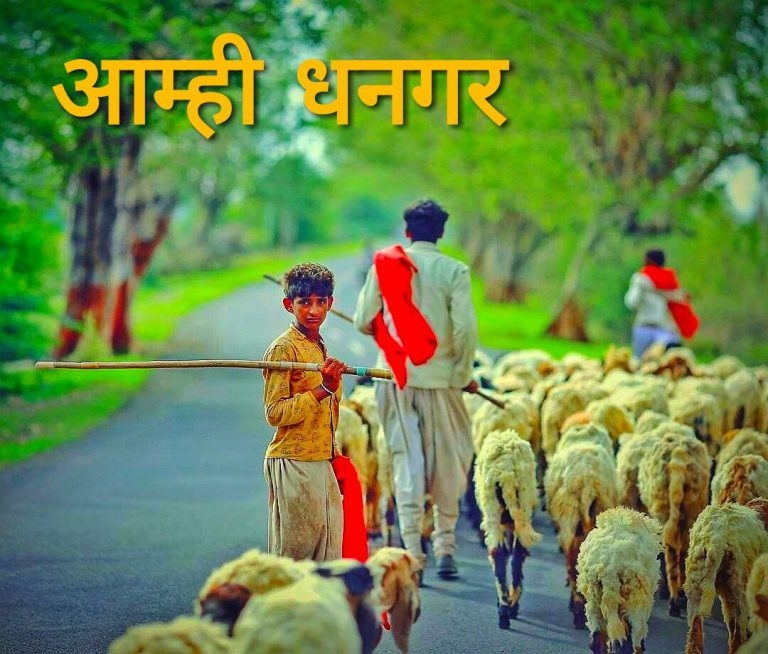 धनगर समाजाला आदिवासी समाजाच्या सर्व योजना लागू – मुख्यमंत्री देवेंद्र फडणवीस