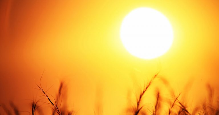 आठ मे पर्यंत उष्णतेची लाट