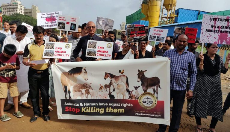 जिवंत प्राण्यांच्या निर्यातीवर बंदी घालावी