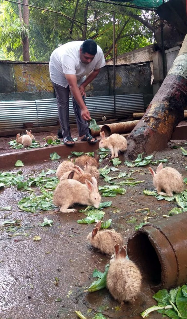 सशांच्या छळ प्रकरणी सोसायटीच्या अध्यक्ष व सचिवांवर गुन्हा दाखल…