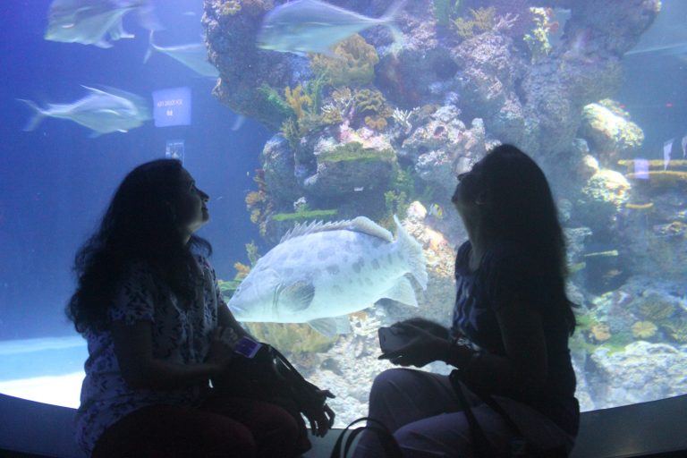 लोकेशन….(लेखिका -पूर्णिमा नार्वेकर)