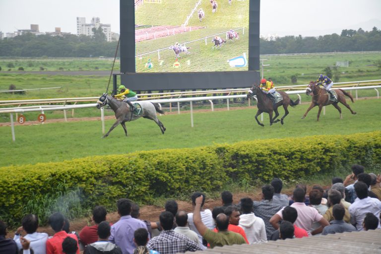 बुशटॉप्सने आजचा दिवस गाजवला