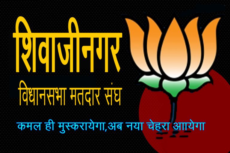 पुण्यातल्या पत्रकाराला मिळणार भाजपकडून विधानसभेची उमेदवारी….?