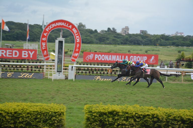 सुलतान सुलेमान विजेता