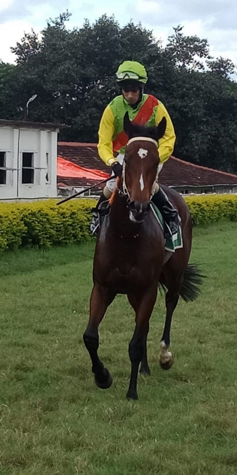 द सप्टेंबर हँडीकॅप शर्यतीत रापसोदी विजेता