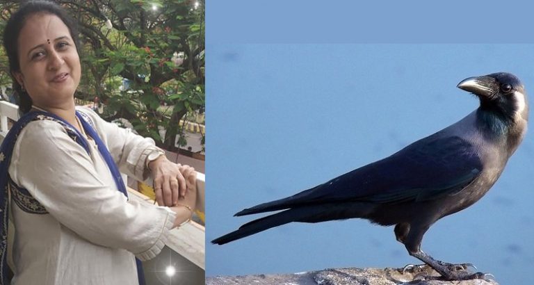 काव काव काव .. ये रे ये….  ( लेखिका -पूर्णिमा नार्वेकर )