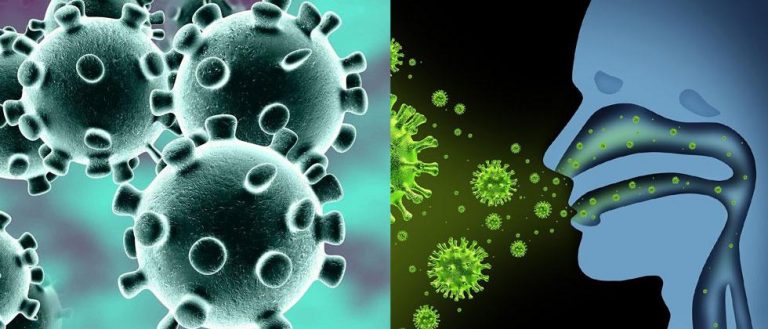 1278 नवीन रुग्णांचे निदान-राज्यात कोरोनाचे एकूण २२ हजार १७१ रुग्ण – आरोग्यमंत्री राजेश टोपे