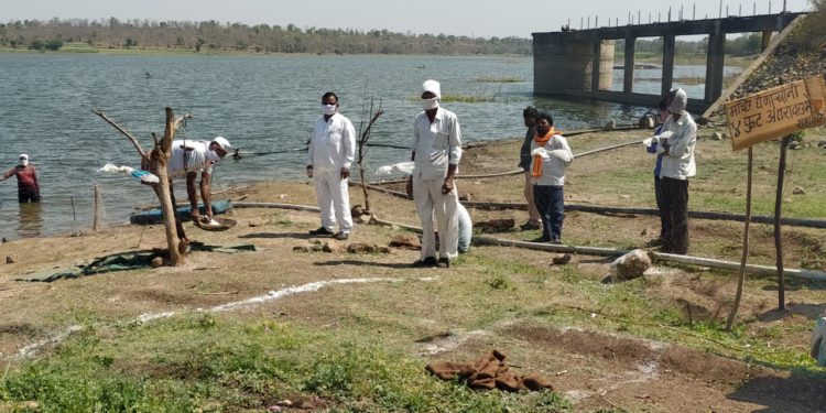 लॉकडाऊन कालावधीत  ८५.६४ क्विंटल मासळी उत्पादन