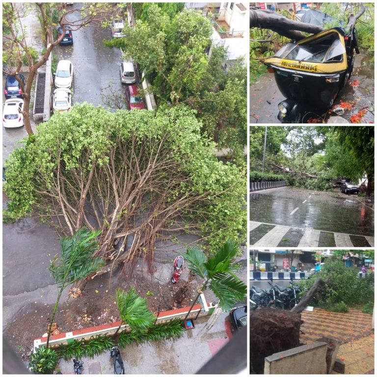 ‘निसर्ग’ वादळाच्या थैमानाने वीजयंत्रणेचे मोठे नुकसान पुणे, पिंपरीसह ग्रामीण भागात वीजपुरवठा विस्कळीत