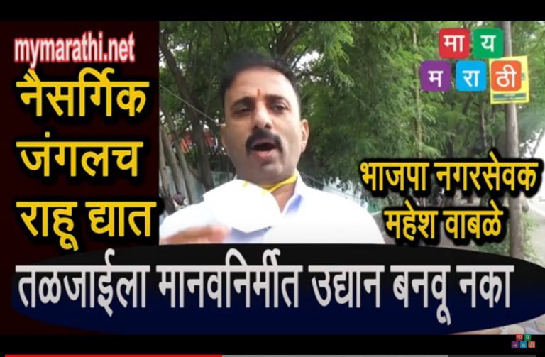 तळजाई चे जंगल ,मानवनिर्मित उद्यान बनवू नका -महेश वाबळे