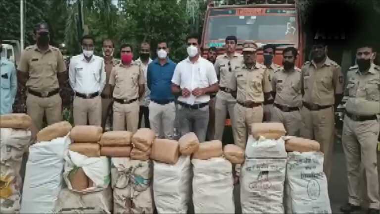 बारामतीत  ३१२ किलो गांजा जप्त