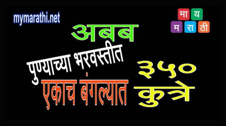 पुण्याच्या एकाच बंगल्यात तब्बल ३५० कुत्री -महापालिकेने केले तब्बल ४ वर्षे दुर्लक्ष (व्हिडीओ)
