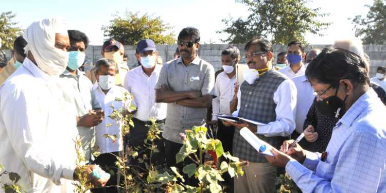 औरंगाबाद, पैठण, गंगापूर तालुक्यातील पीक नुकसानीची केंद्रीय पथकाकडून पाहणी