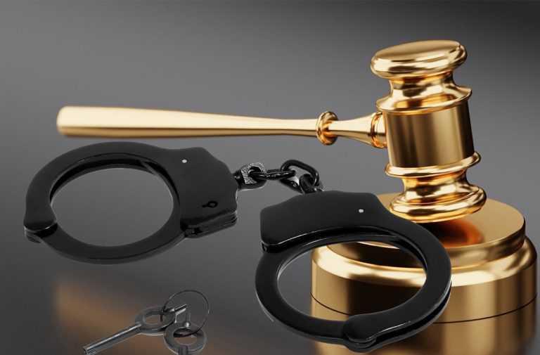 मुलाने पाच लाख बुडवले : जामीनदार पित्याला एक वर्षाच्या कारावसासह दहा लाखाची भरपाईची शिक्षा