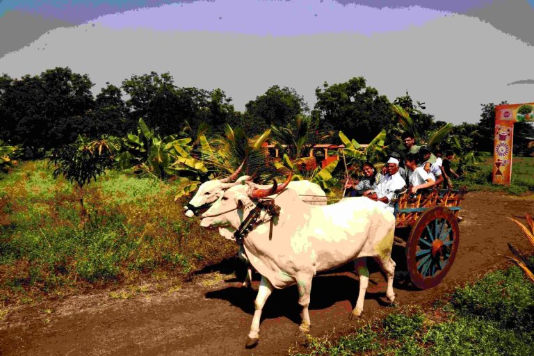 कृषी पर्यटन : रोजगार आणि पर्यटनाचा सुरेख मेळ
