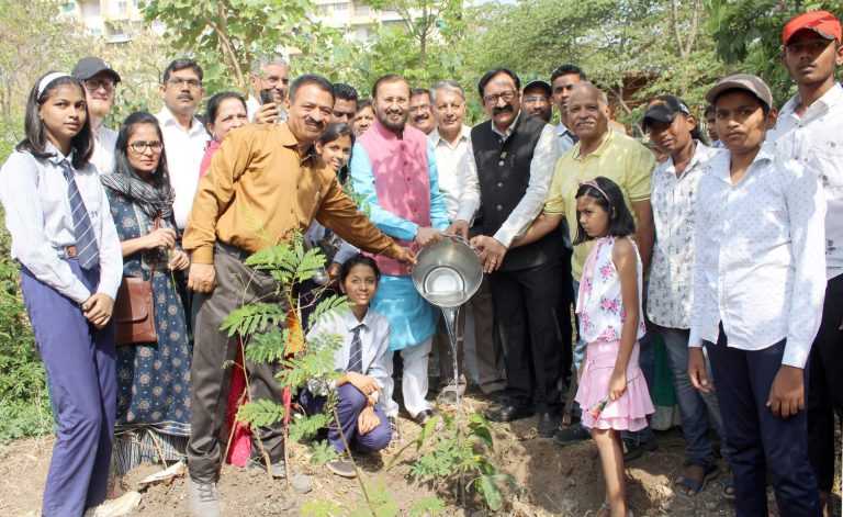 वृक्षारोपणासह झाडांचे संगोपन करणे अधिक गरजेचे-खासदार प्रकाश जावडेकर