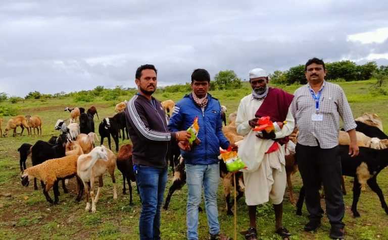 शेळी मेंढी पालन व्यवसायातून आर्थिक समृद्धी-भाग-२