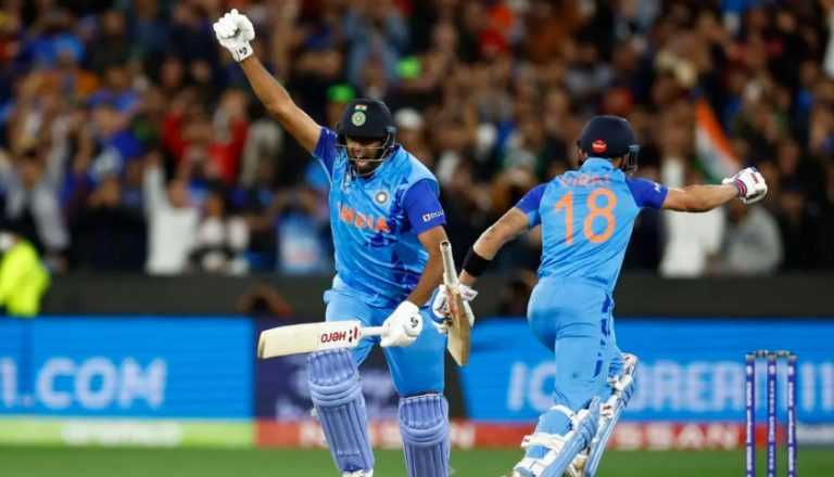 भारताचा पाक वर शानदार विजय , कोहली-हार्दिक विजयाचे शिल्पकार