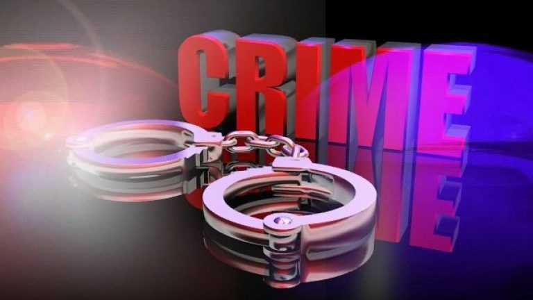 हडपसर मध्ये कोयते वापरणाऱ्या गुन्हेगारांची शोध मोहीम