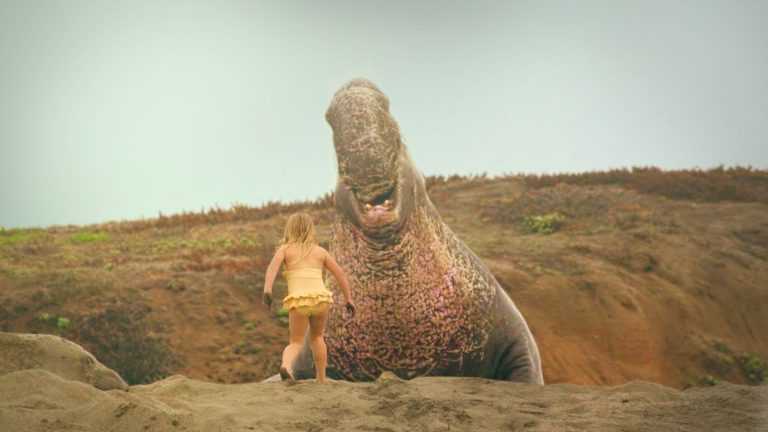 53व्या इफ्फीमध्ये मेक्सिकोच्या समकालीन चित्रपटांचा उत्सव