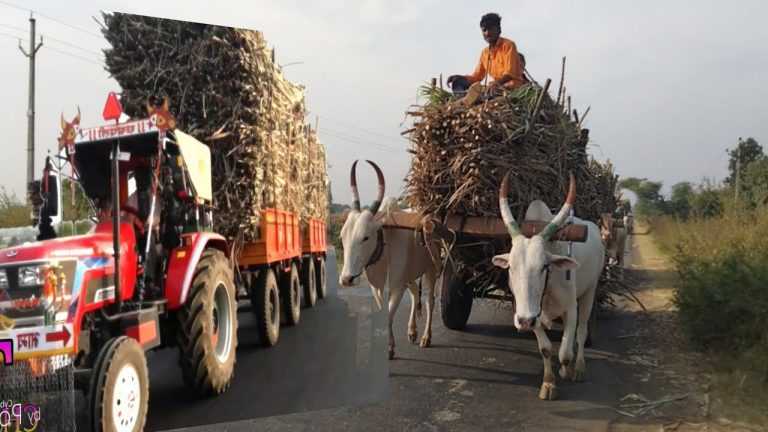 ऊस वाहतूक करणाऱ्या वाहन मालक चालकांना आवाहन