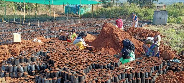  ‘द इको फॅक्टरी फाऊंडेशन’ संस्थेतर्फे शाश्वत जीवनशैलीच्या प्रसारासाठी ७५,०००+ भारतीय वंशाच्या जातींच्या रोपांचे दान