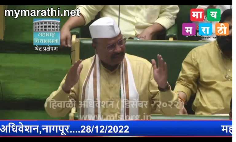 विरोधकांनी मोठ्या प्रमाणात जमिनी हडप केल्या- विरोधकांच्या सभात्यागानंतर सत्तारांनी केला आरोप