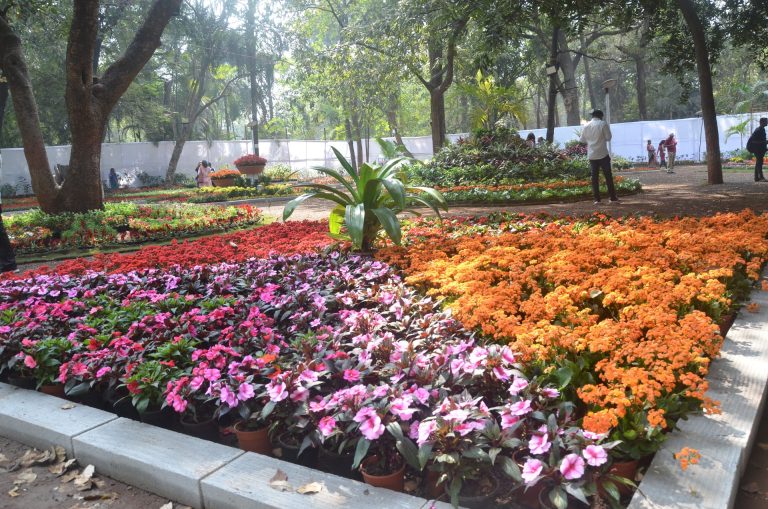एम्प्रेस बोटॅनिकल गार्डनचे  पुष्प प्रदर्शन आजपासून नागरिकांसाठी खुले