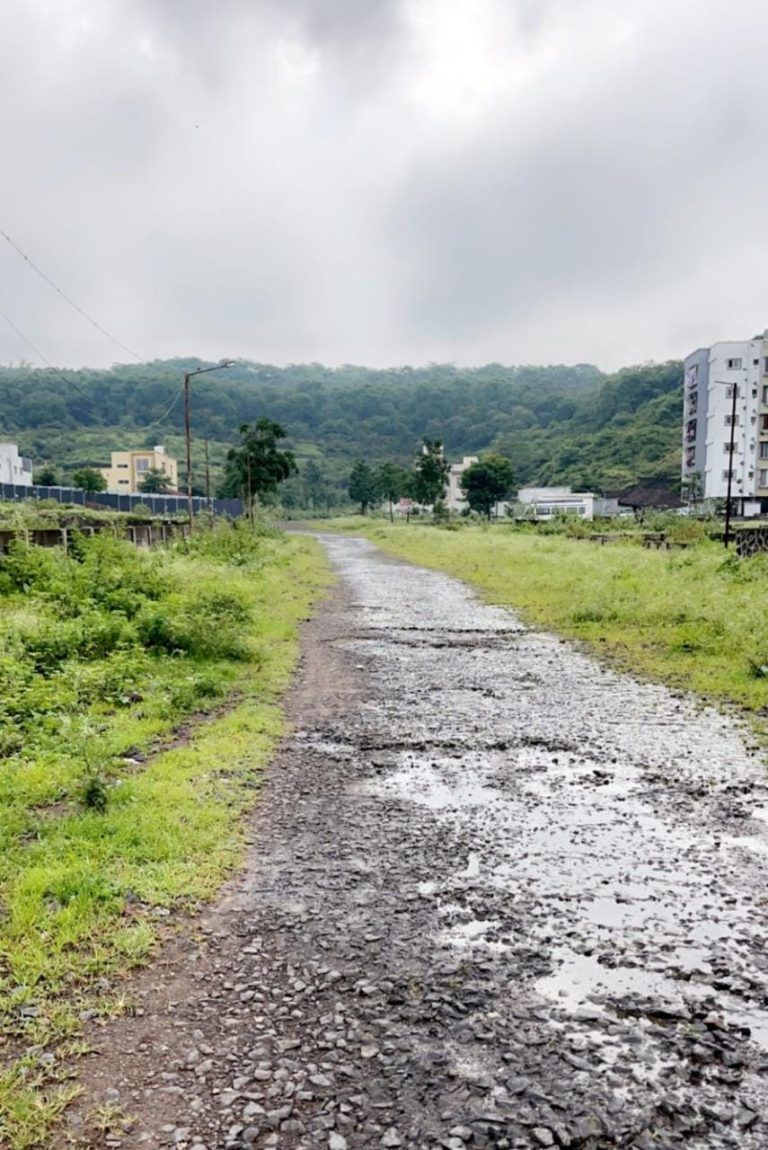 जिल्हाधिकाऱ्यांच्या आशीर्वादानेच पुण्यात  टेकडी फोड-शिवसेना आक्रमक