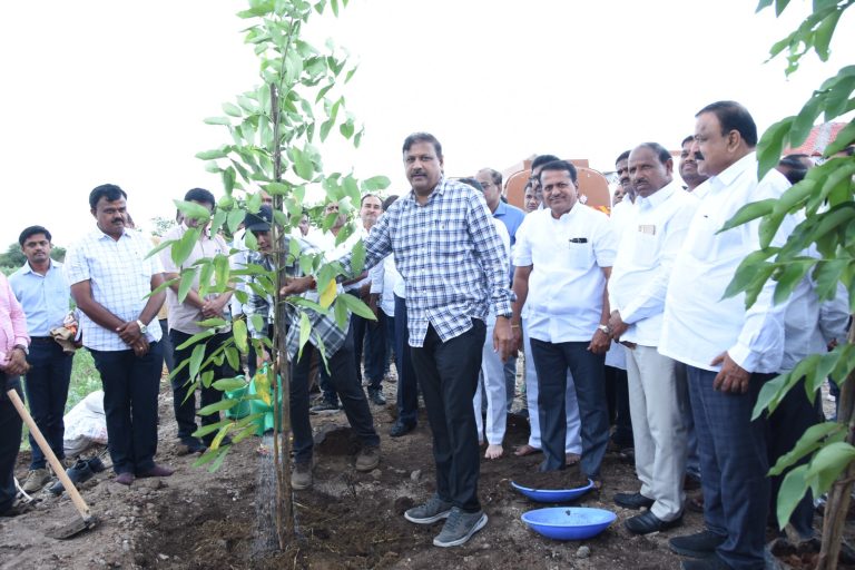 सार्वजनिक बांधकाम विभागाच्यावतीने मोरगाव येथे २० हजारापेक्षा अधिक वृक्ष लागवडीचा शुभारंभ