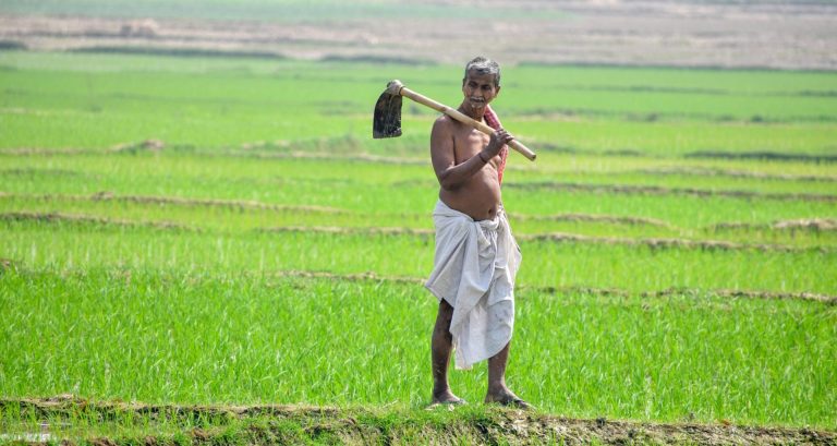साडे आठ कोटी शेतकऱ्यांच्या बॅंक खात्यात पीएम किसान योजनेचा चौदावा हप्ता एका क्लिकद्वारे जमा