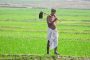 साडे आठ कोटी शेतकऱ्यांच्या बॅंक खात्यात पीएम किसान योजनेचा चौदावा हप्ता एका क्लिकद्वारे जमा