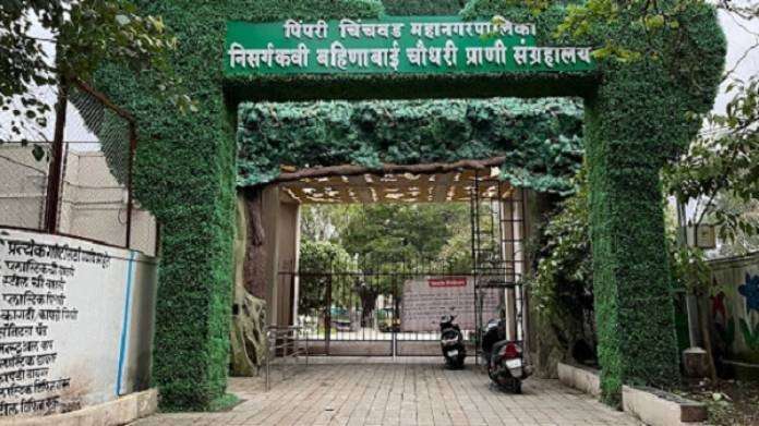 पिंपरी चिंचवड प्राणी संग्रहालयातील 36 प्राण्यांच्या मृत्यूची चौकशी नगरविकास विभागाच्या प्रधान सचिवांमार्फत करणार- मुख्यमंत्री एकनाथ शिंदे