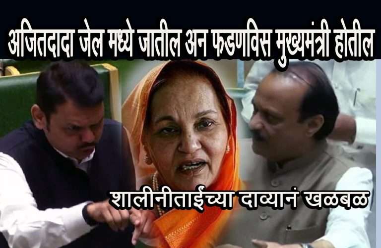 अजित पवार 4 महिन्यांत तुरुंगात:पक्षाचा विश्वासघात न करणारे फडणवीस पुन्हा मुख्यमंत्री होणार, शालिनीताई पाटील यांचा दावा