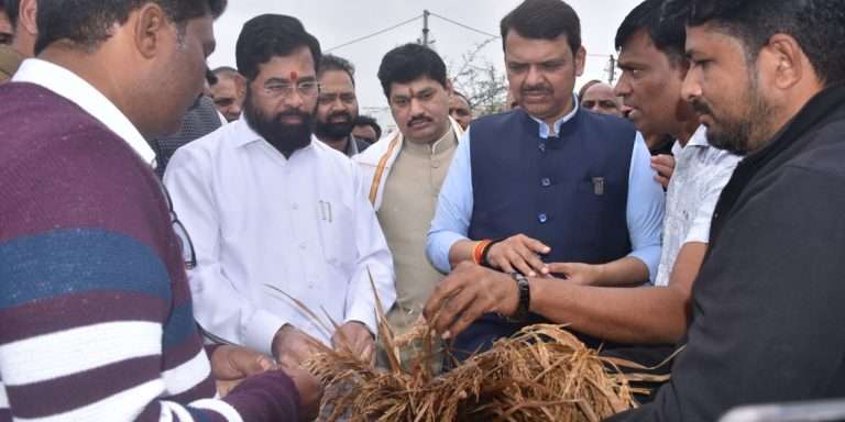 धान उत्पादकांच्या मदतीसाठी मुख्यमंत्री थेट बांधावर; नागपूर जिल्ह्यातील नुकसानीची पाहणी